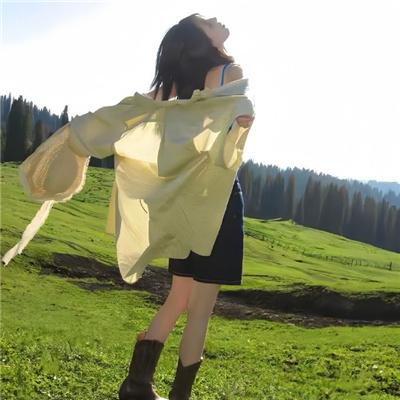 侠女游龙国语